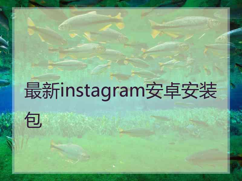 最新instagram安卓安装包