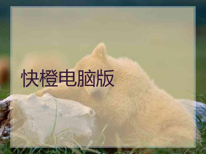 快橙电脑版