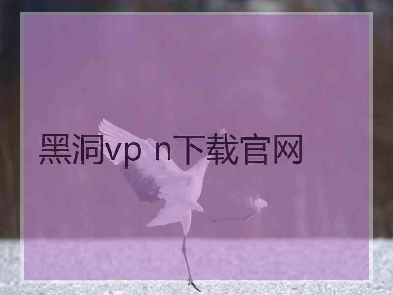 黑洞vp n下载官网