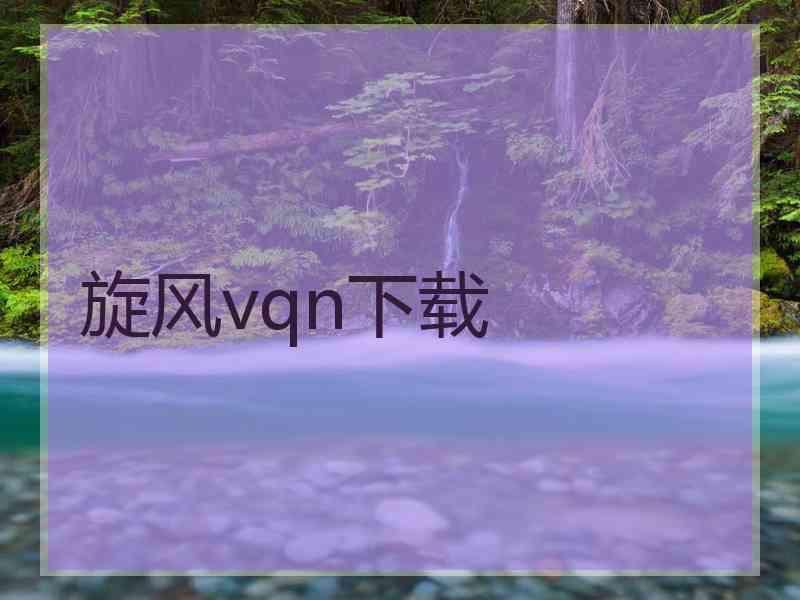 旋风vqn下载