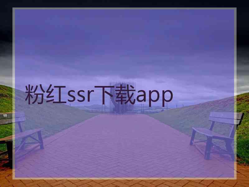 粉红ssr下载app