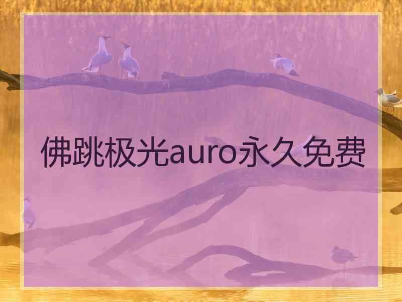 佛跳极光auro永久免费