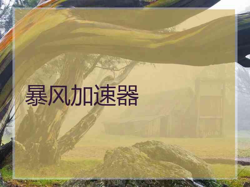 暴风加速器