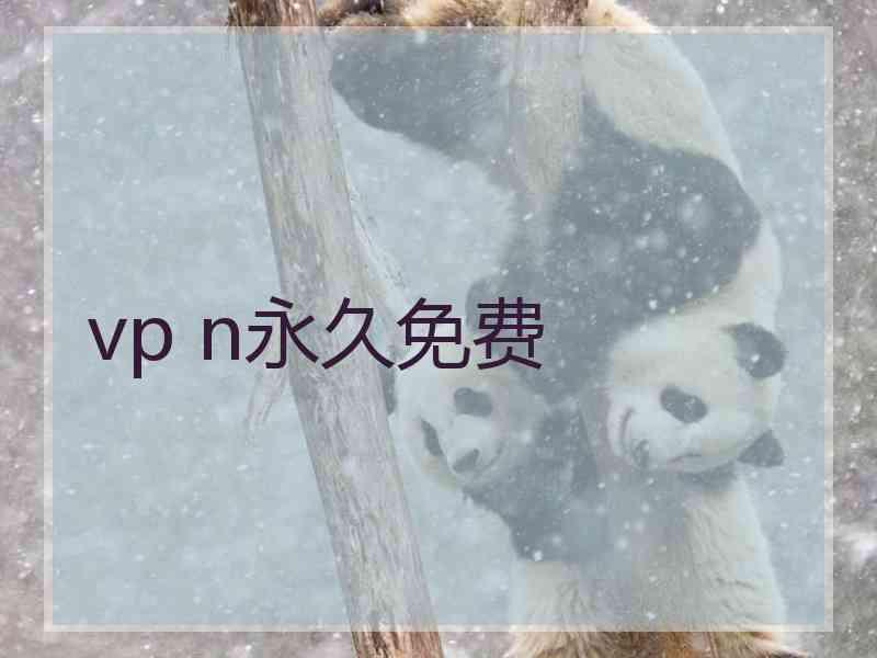 vp n永久免费