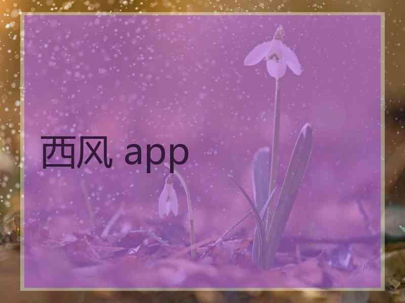 西风 app