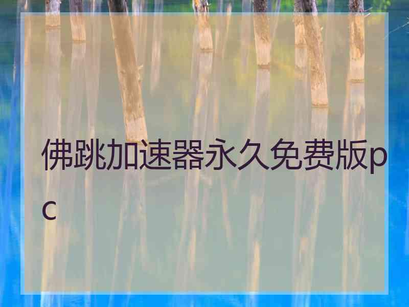 佛跳加速器永久免费版pc