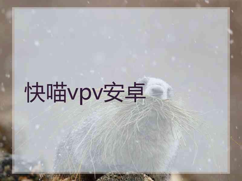 快喵vpv安卓