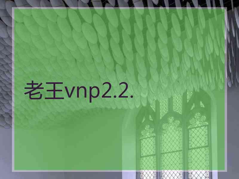 老王vnp2.2.