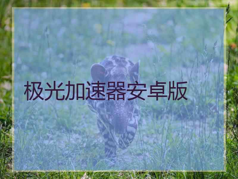 极光加速器安卓版