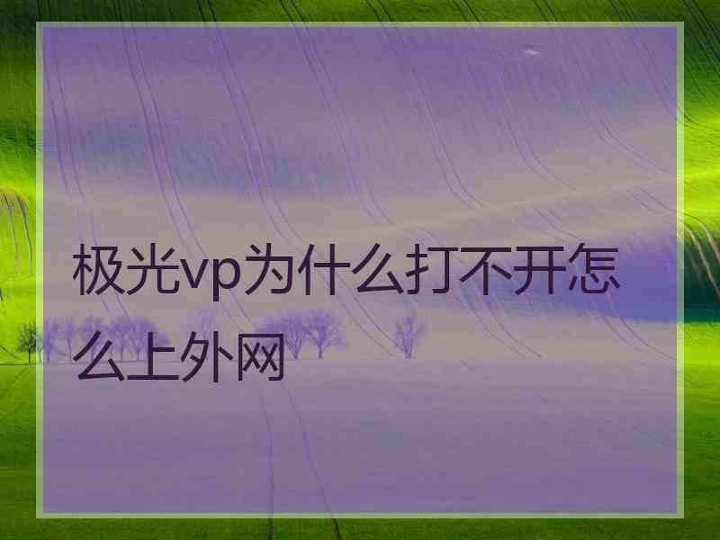 极光vp为什么打不开怎么上外网