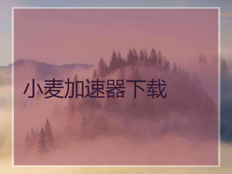 小麦加速器下载