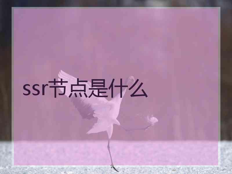 ssr节点是什么