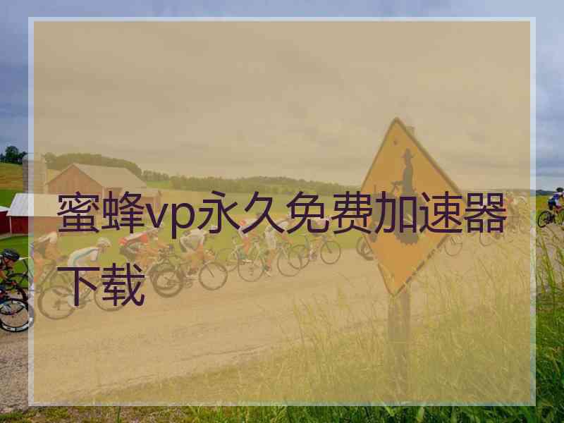 蜜蜂vp永久免费加速器下载
