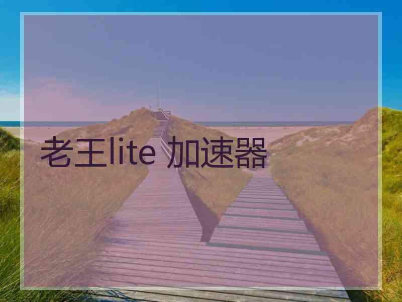 老王lite 加速器