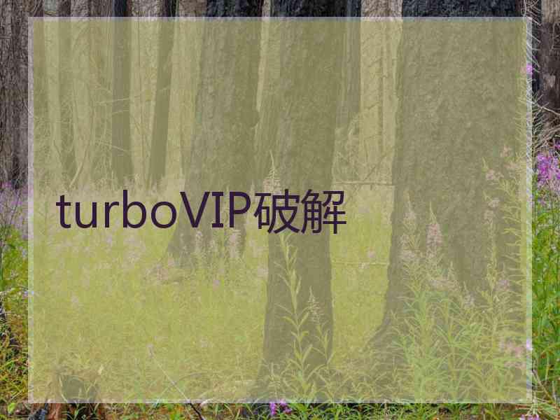 turboVIP破解
