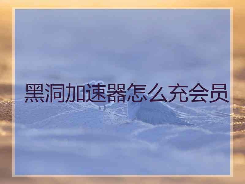 黑洞加速器怎么充会员