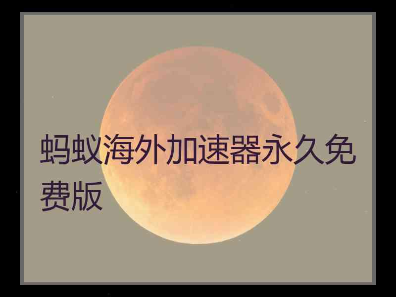 蚂蚁海外加速器永久免费版