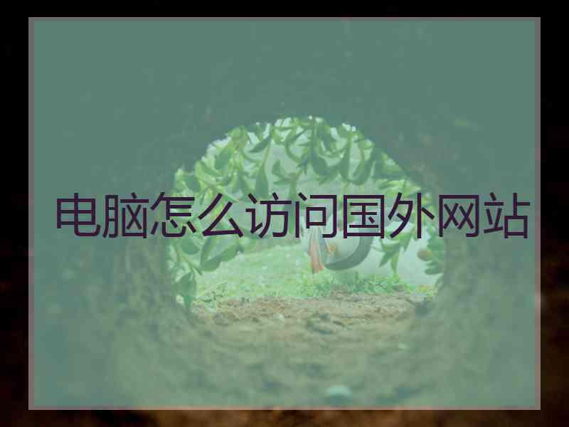 电脑怎么访问国外网站