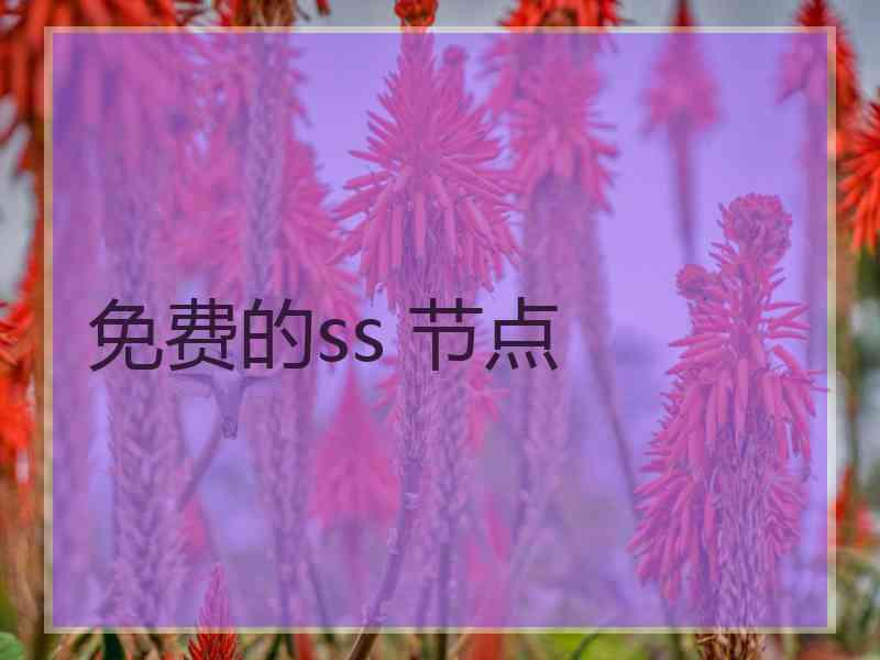 免费的ss 节点