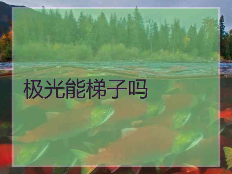 极光能梯子吗