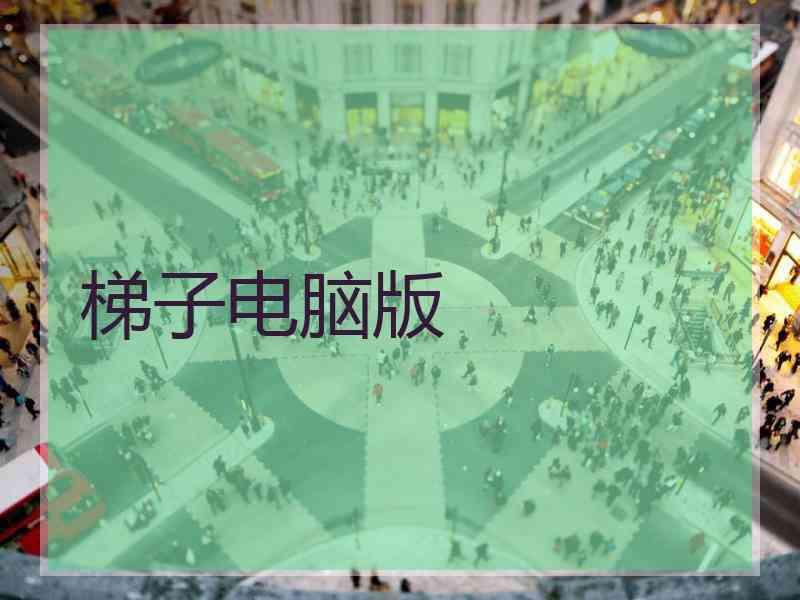 梯子电脑版