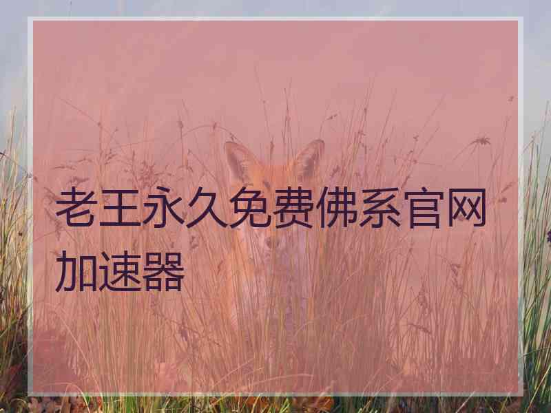 老王永久免费佛系官网加速器