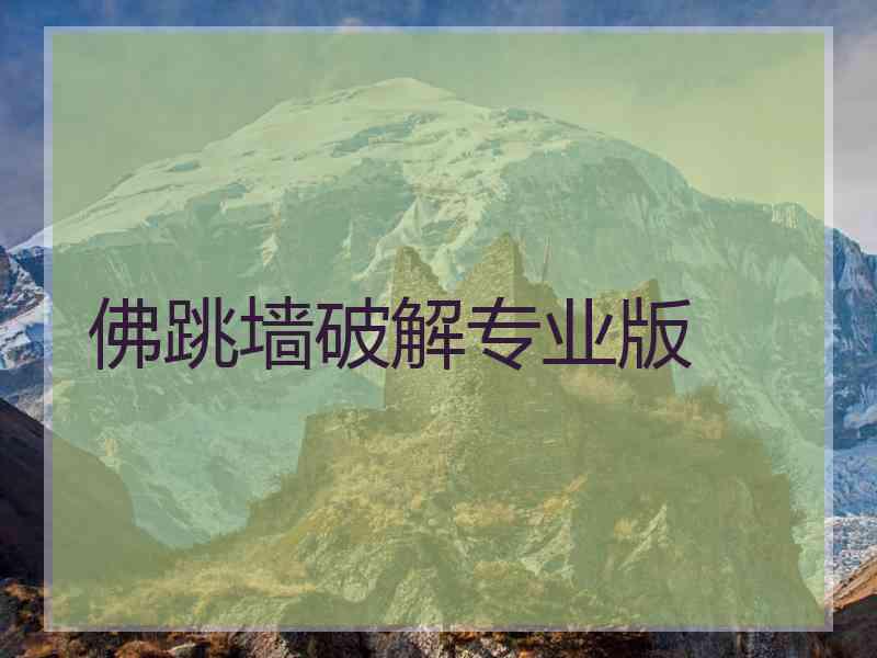 佛跳墙破解专业版