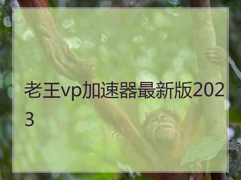 老王vp加速器最新版2023