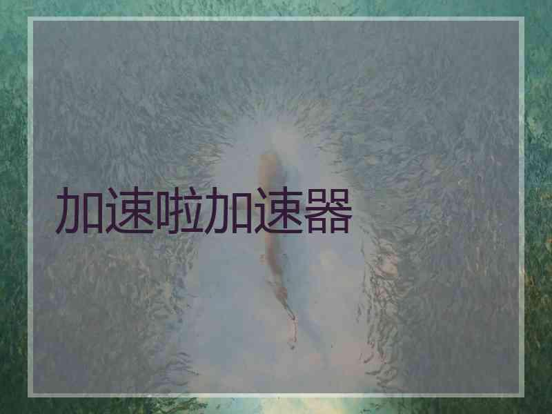 加速啦加速器