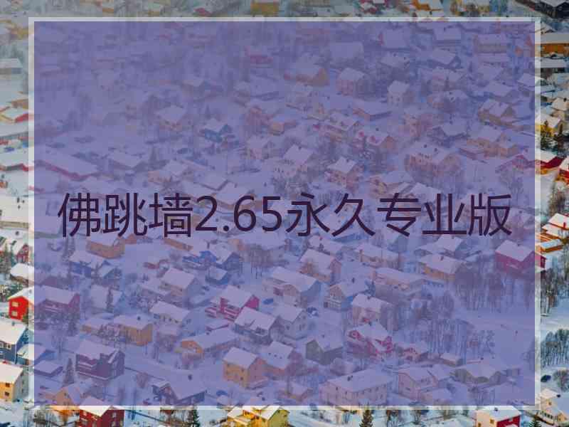 佛跳墙2.65永久专业版
