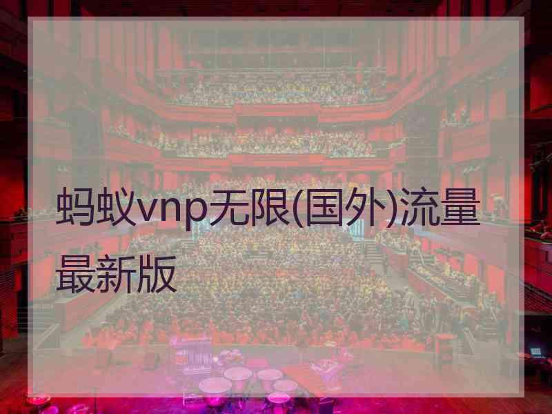 蚂蚁vnp无限(国外)流量最新版