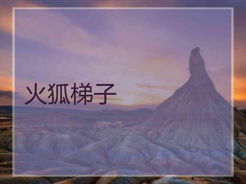 火狐梯子