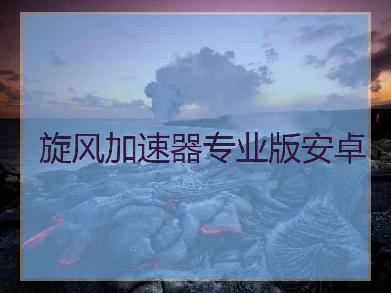 旋风加速器专业版安卓
