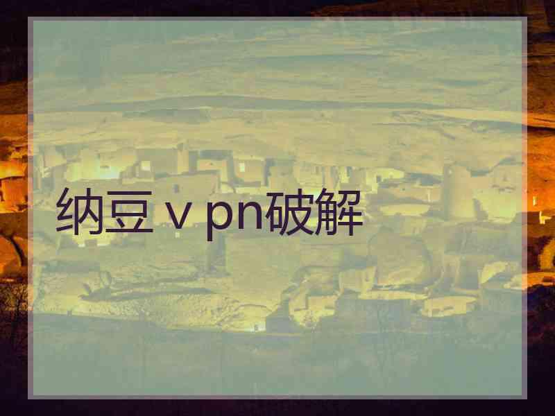 纳豆ⅴpn破解
