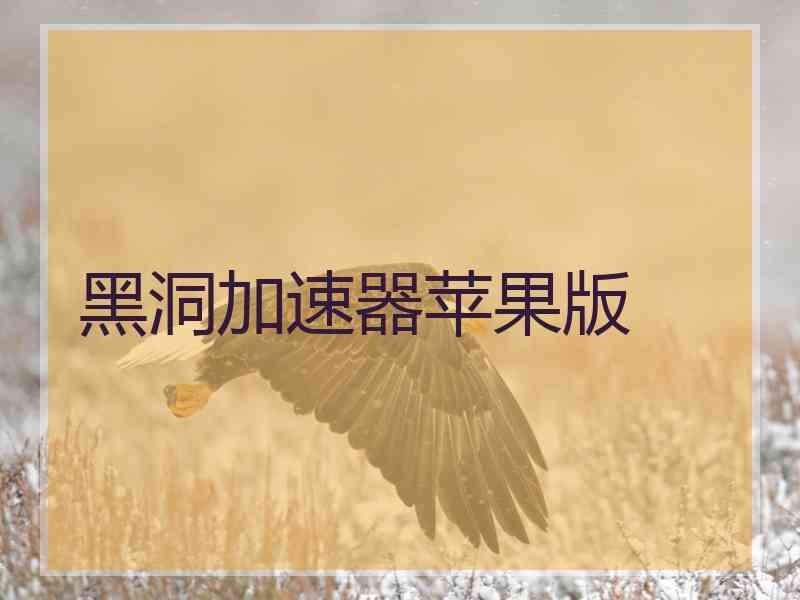 黑洞加速器苹果版