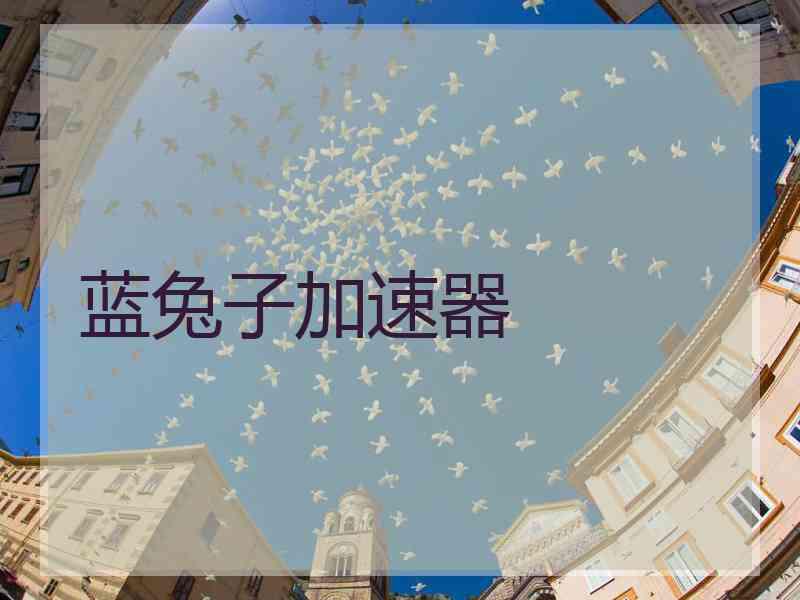 蓝兔子加速器