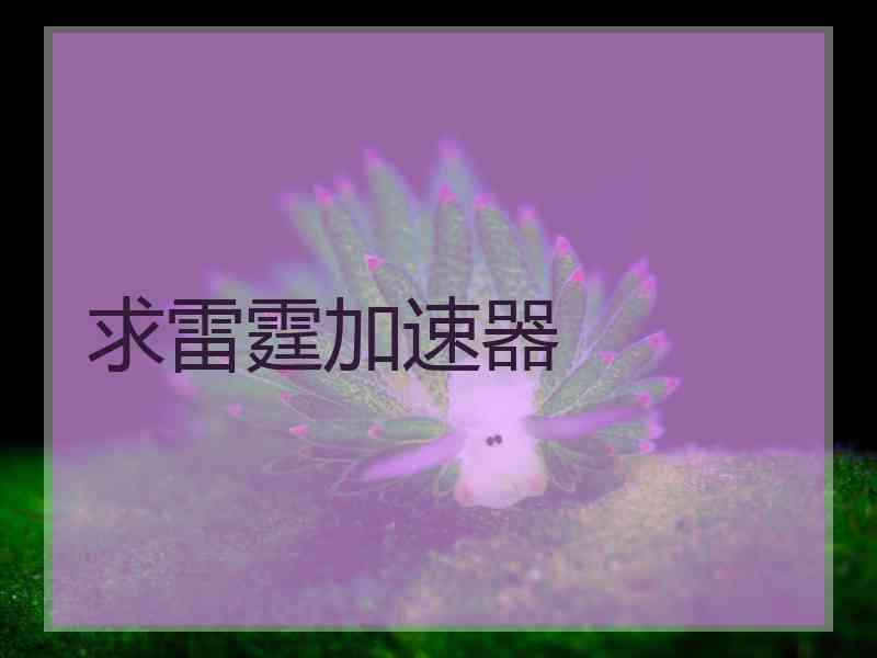求雷霆加速器