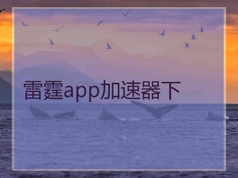 雷霆app加速器下