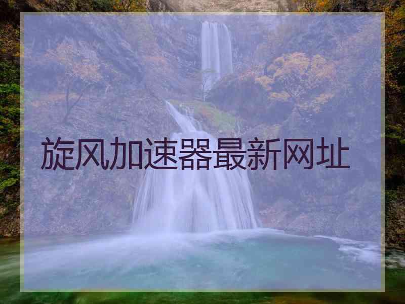 旋风加速器最新网址