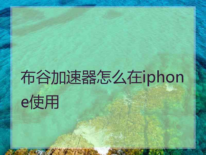 布谷加速器怎么在iphone使用