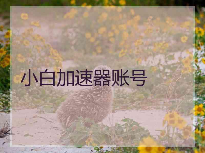 小白加速器账号