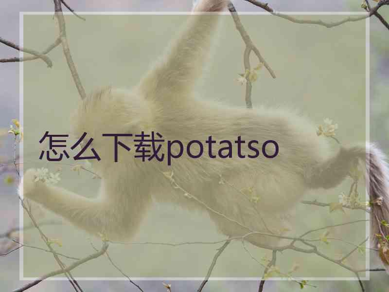 怎么下载potatso