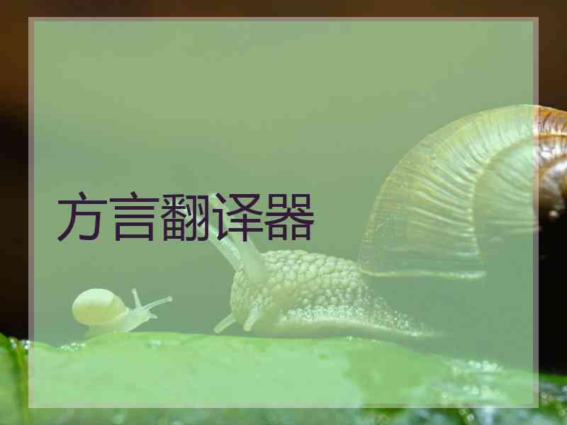 方言翻译器
