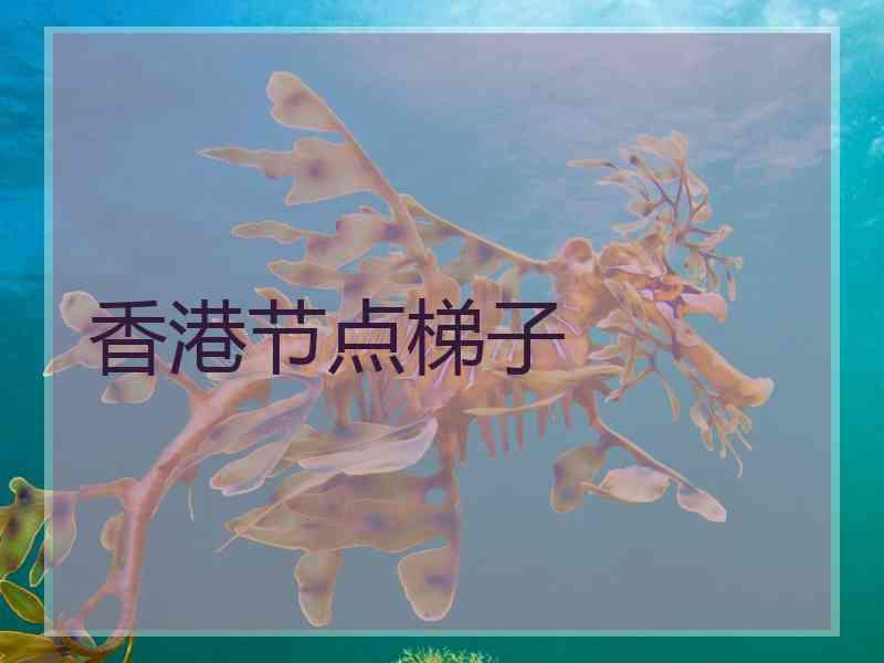 香港节点梯子