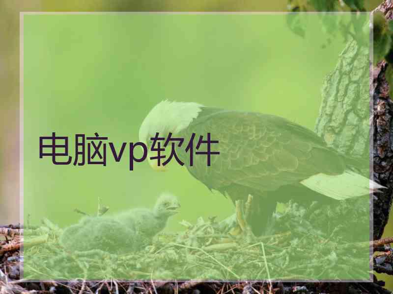 电脑vp软件