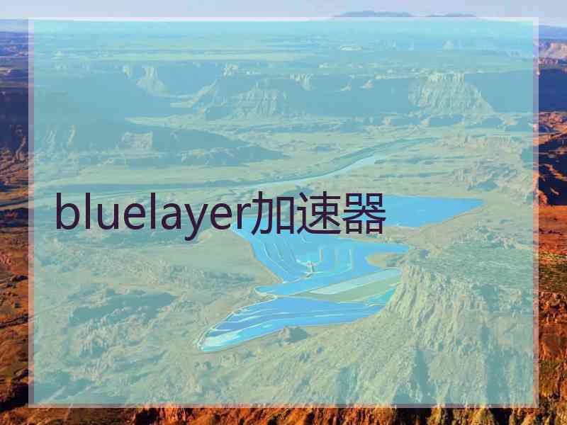 bluelayer加速器