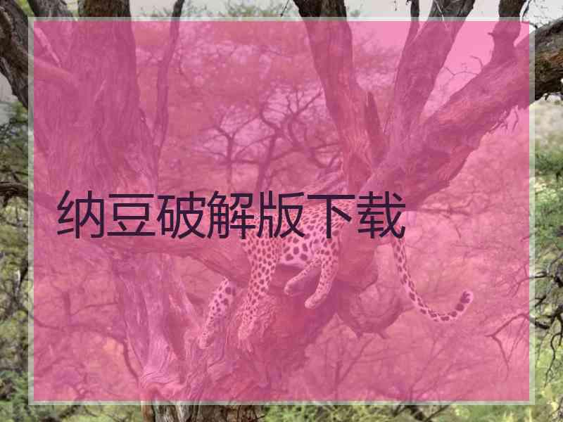 纳豆破解版下载