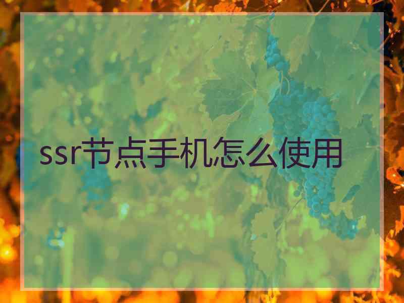 ssr节点手机怎么使用