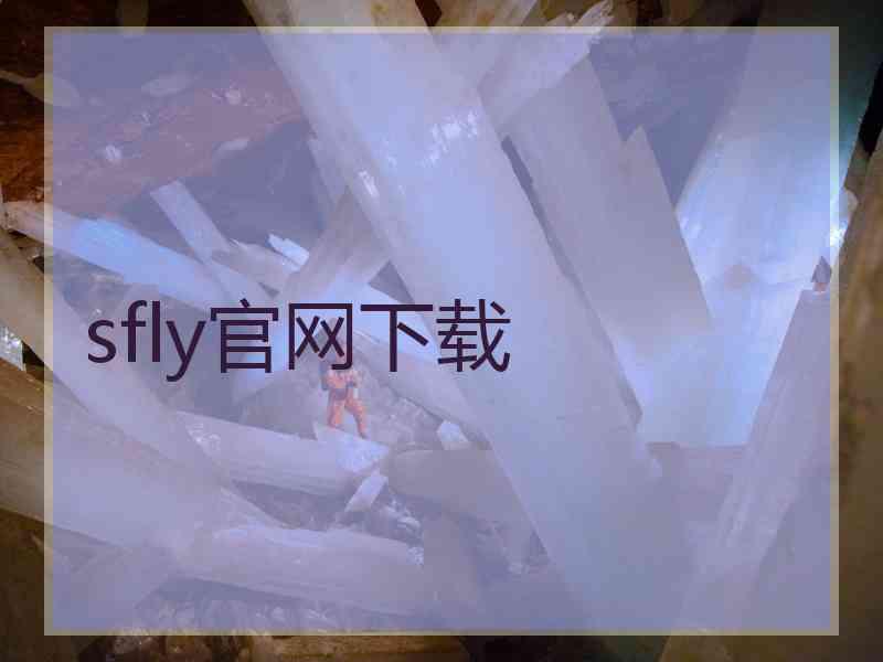 sfly官网下载