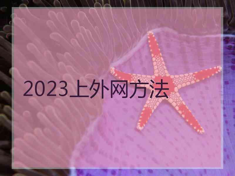 2023上外网方法